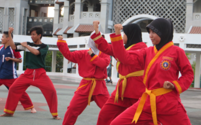 Tapak Suci, Seni Beladiri Muhammadiyah